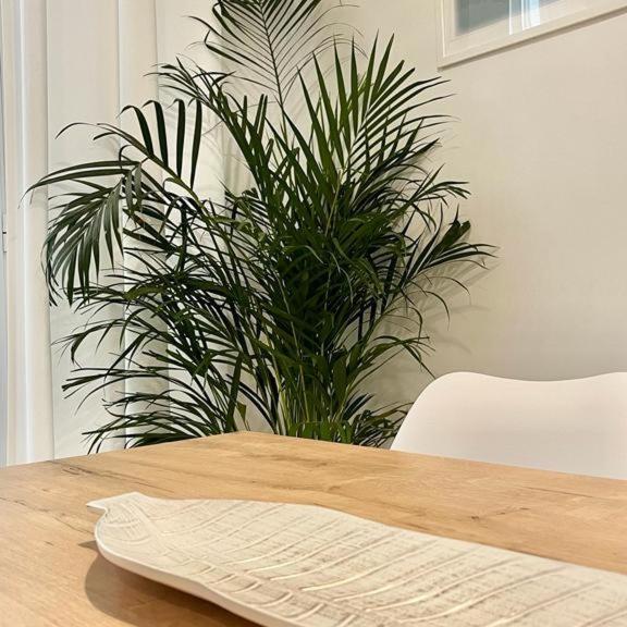 Apartamento Las Tres Lunas ซันลูการ์เดบาร์ราเมดา ภายนอก รูปภาพ
